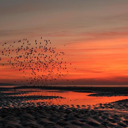 Hoekje Aan Zee Katwijk aan Zee Dış mekan fotoğraf