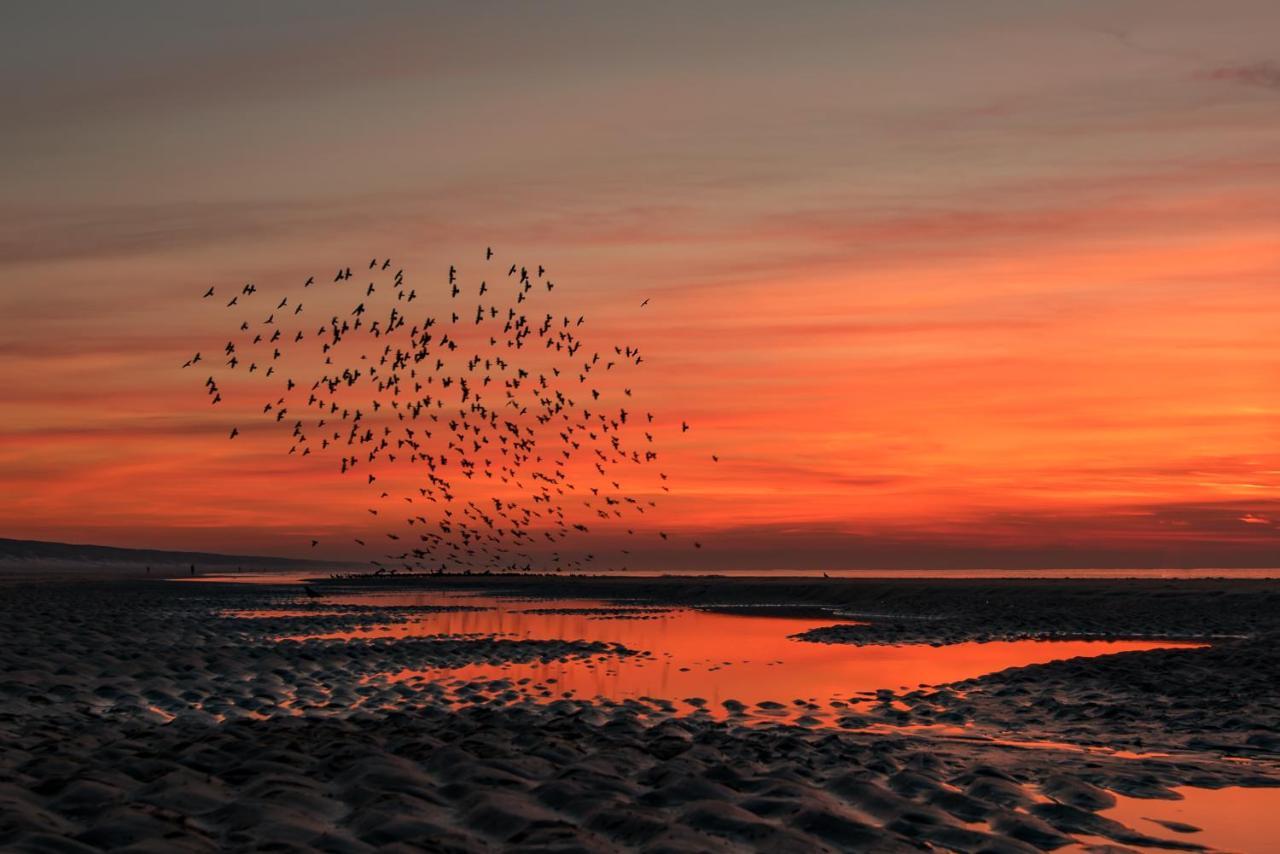 Hoekje Aan Zee Katwijk aan Zee Dış mekan fotoğraf